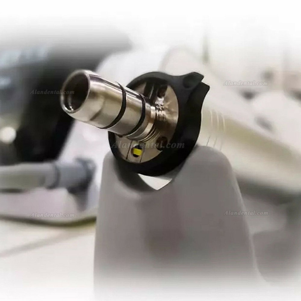Yudendent C-Sailor Pro Dental Implant System Surgical Brushless Motor with 2Pcs Optical Fiber Contra Angle Handpiece